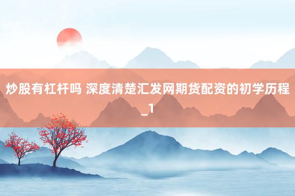 炒股有杠杆吗 深度清楚汇发网期货配资的初学历程_1